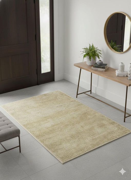 2' x 3' Rectangular Beige Ivory Solid Modern Area Rug
