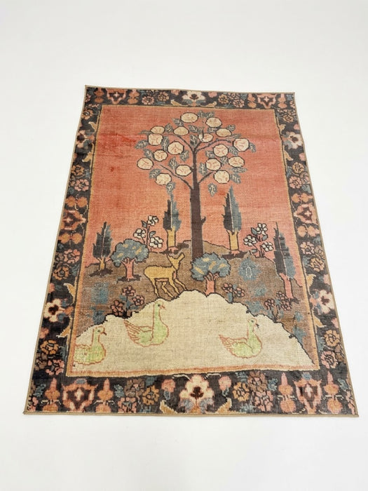 5' x 7' Area Rug