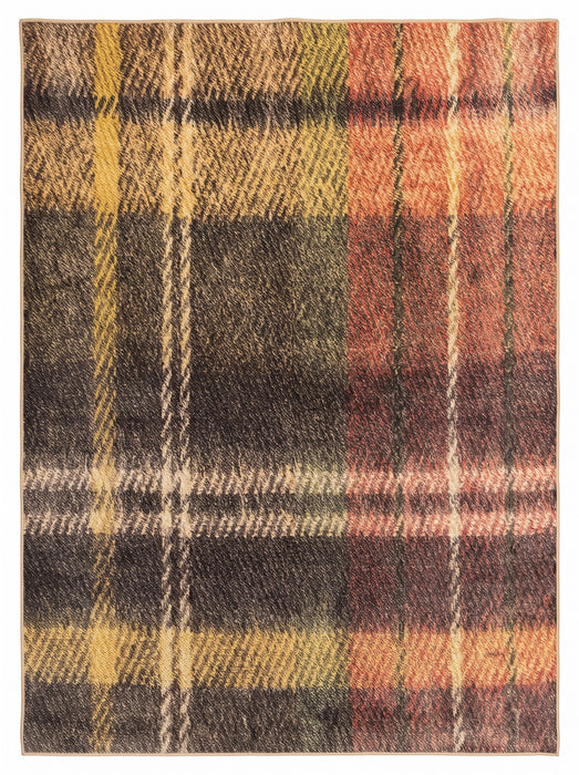 5' x 7' Area Rug