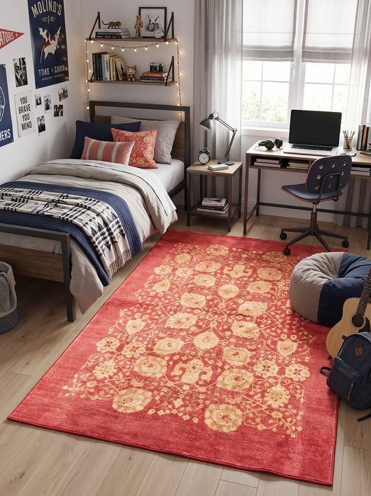 5' x 8' Area Rug