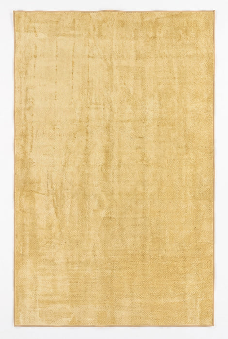 5' x 8' Area Rug