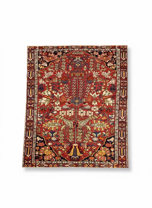 8' x 10' Area Rug