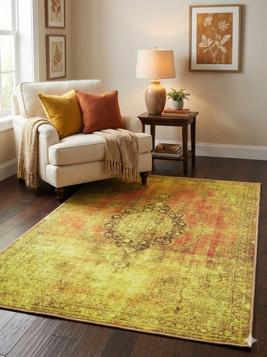 4' x 6' Washable Area Rug