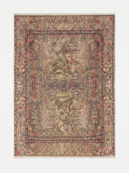 6' x 9' Washable Area Rug