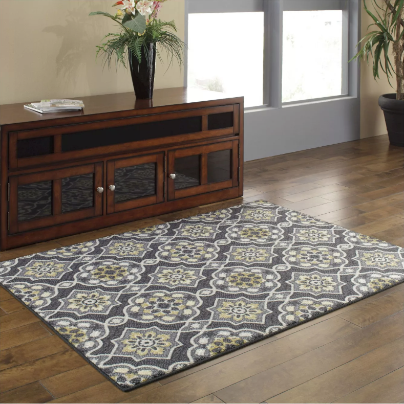 4'x5'6' Rowena Accent Rug - Maples