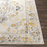 5x7 Traditional Area Rug By Surya